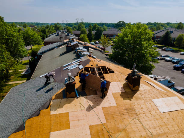 Best Best Roofing Contractors  in Richton, MS