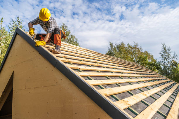 Roof Gutter Cleaning in Richton, MS