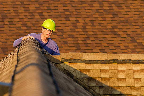 Best Local Roofing Companies  in Richton, MS