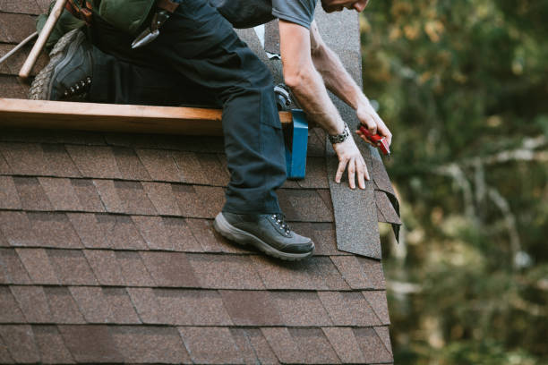 Best Gutter Installation and Roofing  in Richton, MS